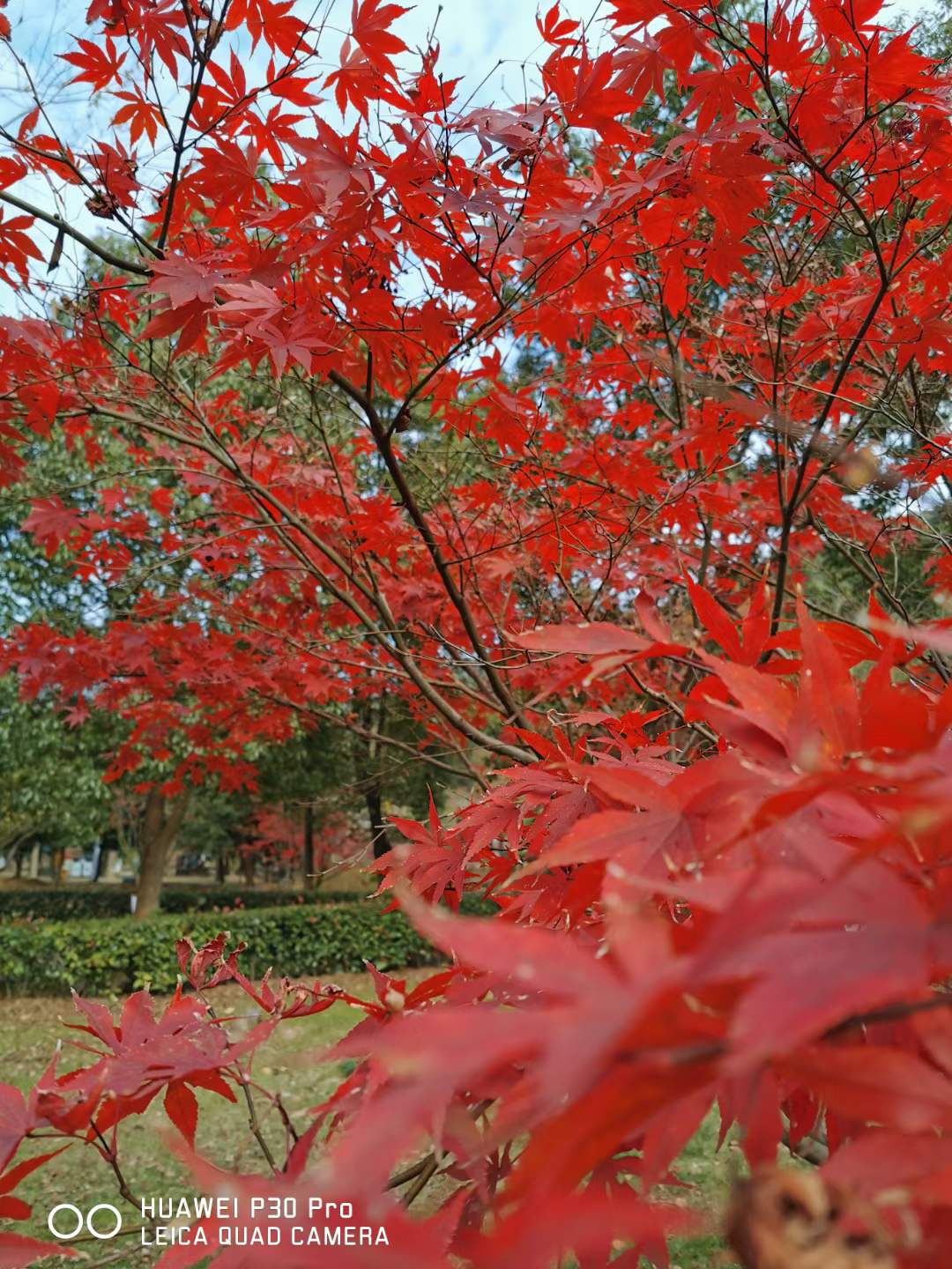 0112  和游同学诗《春涧》